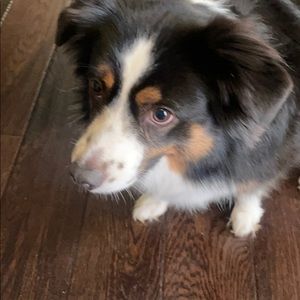 Meet your Posher, Scott